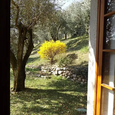 Rocca *