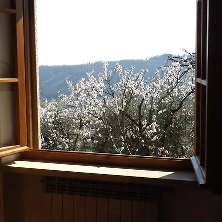 Holiday home Rocca Marciaga