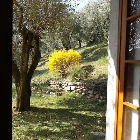 Rocca