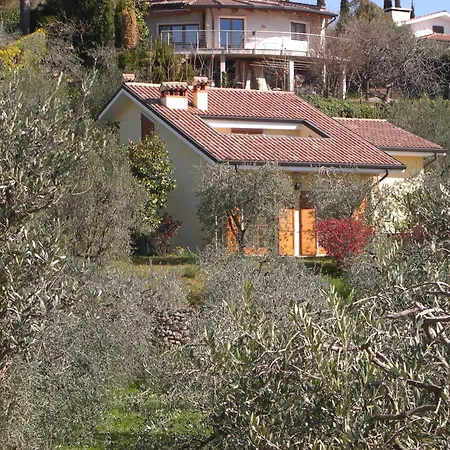 Rocca